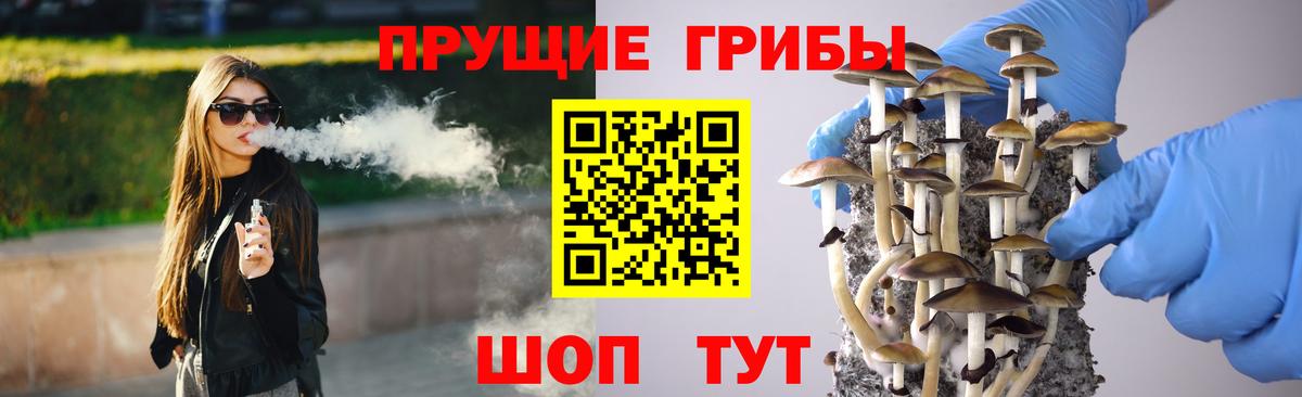 Галлюциногенные грибы Psilocybine cubensis Костомукша